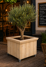 Deventer Verrijdbare Plantenbak- Bloembak : Model Deventer