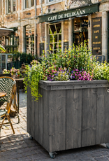 Deventer Plantenbak- Bloembak op wielen: Model Deventer