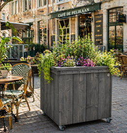 Deventer Plantenbak