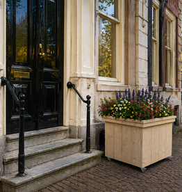 Deventer Plantenbak