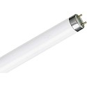 PHILIPS MASTER TL-D lampen