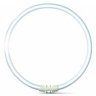 Philips MASTER TL5 Circular 55W/840 (diameter 30cm)