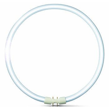 Philips MASTER TL5 Circular 55W/840 (diameter 30cm)