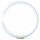 Philips MASTER TL5 Circular 55W/840 (diameter 30cm)