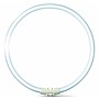 Philips MASTER TL5 Circular 55W/840 (diameter 30cm)