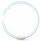 Philips MASTER TL5 circulaire 55W / 830 (diamètre 30 cm)