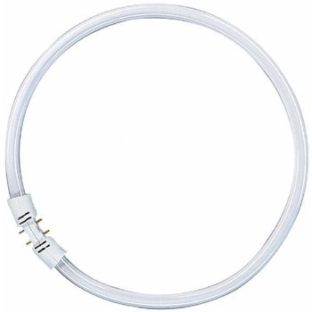 Osram FC 55W/830 2GX13 (diameter 30 cm)