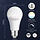 Aigostar smart LED bulb 9-60W E27 3000K-6500K + RGB WIFI 800lm