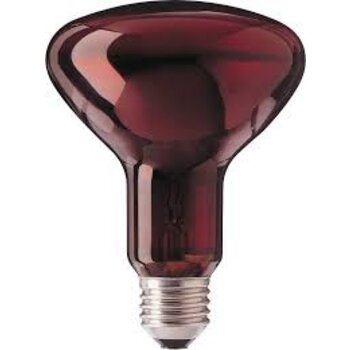 Philips IR lamp 100W E27 230V R95 red