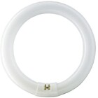 LEDVANCE (Osram) LED TL-E Circular 18.3W 830 replaces 32W/830 (30 cm)