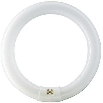 LEDVANCE (Osram) LED TL-E Circular 18.3W 830 replaces 32W/830 (30 cm)