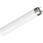 Braine Light TL-D Food 58W/79 (150cm)