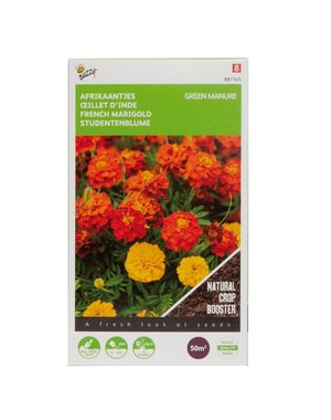  Groenbemester Tagetes