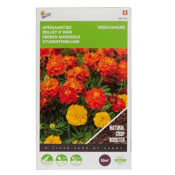 Groenbemester Tagetes of afrikaantje