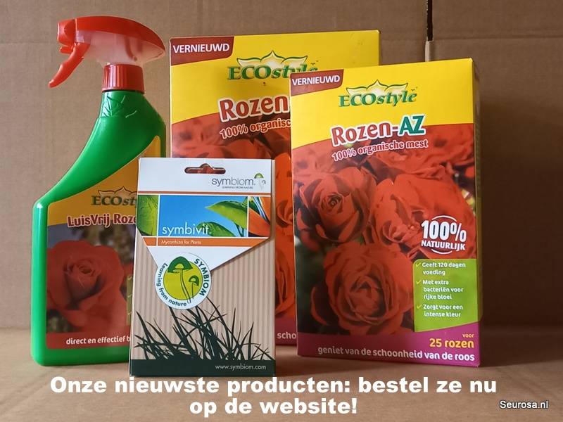 Rosen Kaufen | Rosen ab € 3,75