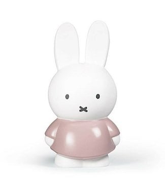 NIJNTJE / MIFFY MIFFY Money Box | Medium