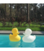 Canard de Bain Géant Lumineux Blanc