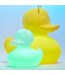 Petite Canard de Bain Lumineux Blanc