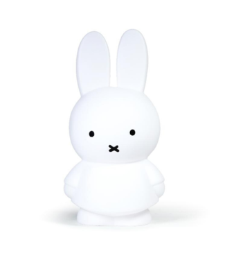 NIJNTJE / MIFFY MIFFY Money Box | Large