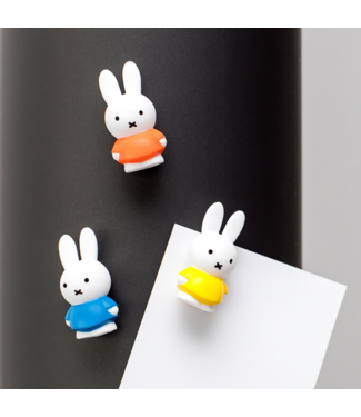 NIJNTJE / MIFFY MIFFY Aimant Set