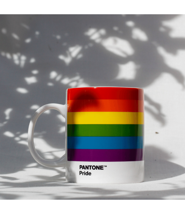 PRIDE Mug + Gift Box