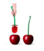 CHERRY Toilet Brush