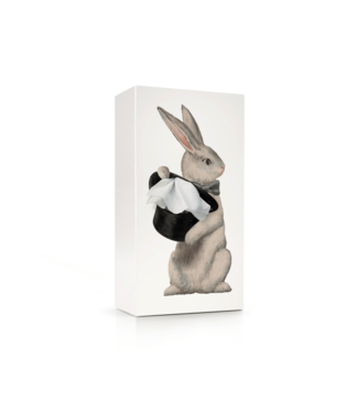 SPEXTRUM Taschentuchbox / Kaninchen