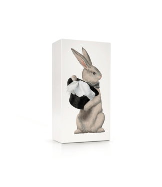 SPEXTRUM Tissue Box / Rabbit