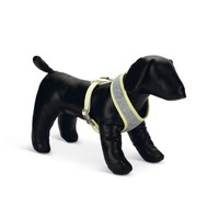 BEEZTEES BZ PUPPY BORSTTUIG BRONDA S GRS