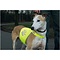 BEEZTEES BZ SG VEILIGHEIDVEST HOND REFL GL L