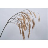 SILK-KA Branche de bois pinus or 131 cm SILK-KA Branche de bois pinus or 131 cm