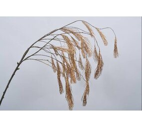 SILK-KA Wood branch pinus gold 131 cm SILK-KA Wood branch pinus gold 131 cm