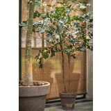 SILK-KA Palm Groen | 240 cm SILK-KA Palm Groen | 240 cm