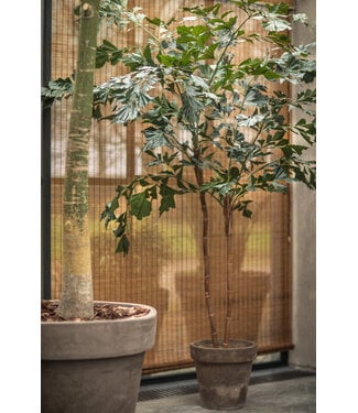 SILK-KA Palm Groen | 240 cm