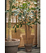 SILK-KA Palm Green | 240 cm