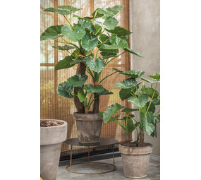SILK-KA Alocasia Grün | 170 cm SILK-KA Alocasia Grün | 170 cm
