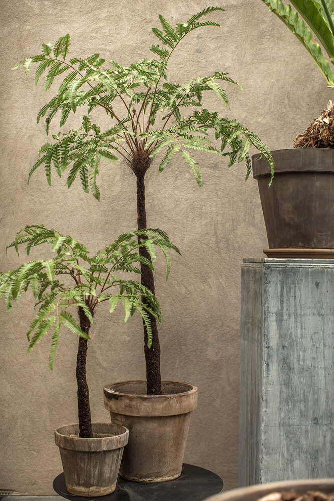 SILK-KA Fern Green | 183 cm SILK-KA Fern Green | 183 cm