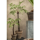 SILK-KA Felce Verde | 183cm SILK-KA Felce Verde | 183cm