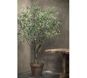 SILK-KA Olivenbaumgrün | 198 cm SILK-KA Olivenbaumgrün | 198 cm