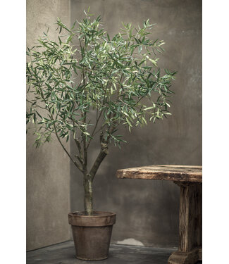 SILK-KA Verde Olivo | 198cm