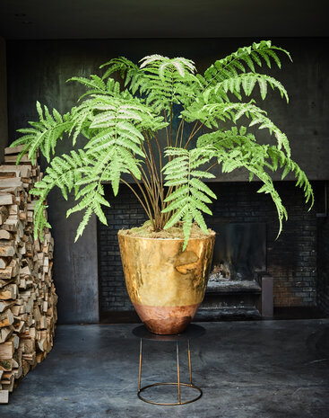 Silk ka Fern Green 185 cm