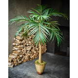 SILK-KA Palm Groen | 190 cm