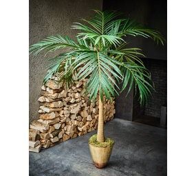 SILK-KA Palm Groen | 190 cm SILK-KA Palm Groen | 190 cm