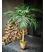 SILK-KA Palm Green | 190 cm