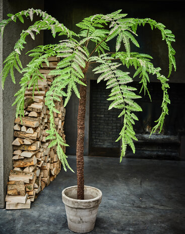 SILK-KA Verde helecho | 246cm SILK-KA Verde helecho | 246cm