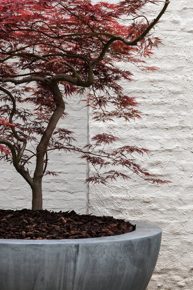 DOMANI DEMI-BOL EN ZINC DOMANI DEMI-BOL EN ZINC