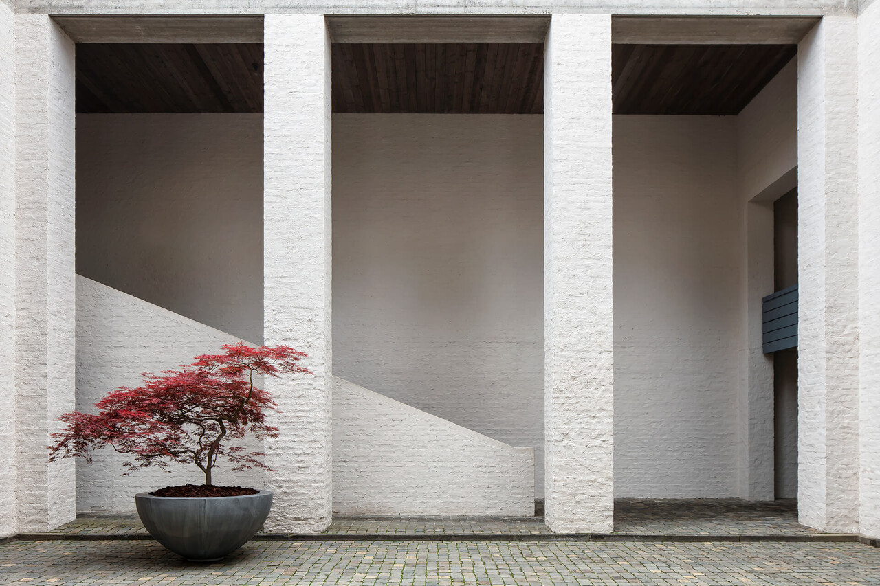 DOMANI MEDIO CUENCO DE ZINC DOMANI MEDIO CUENCO DE ZINC