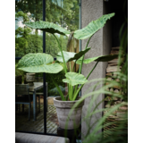 SILK-KA Alocasia Vert | 124 cm