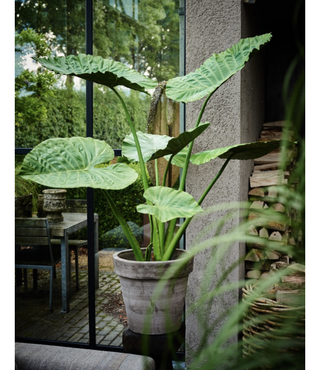 SILK-KA Alocasia grønn | 124 cm