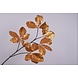 Silk-ka Bladtak Goud | 149 cm Silk-ka Bladtak Goud | 149 cm